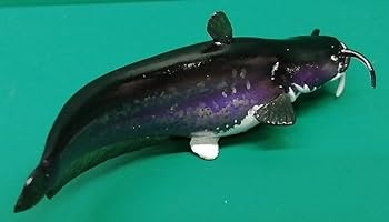 Amazon.co.jp: ネイチャーテクニカラー 日本のいきもの