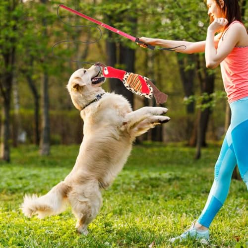 Reizangel Hunde, Ausziehbar Hundespielzeug Hundeangel mit 2 Klingenden Plüschtiere, Interaktives Hundespielzeug für Große, Mittlere und Kleine Hunde