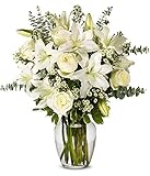 DELIVERY BY FRIDAY, 3/21 GUARANTEED IF ORDER PLACED BY 3/20 BEFORE 2PM EST From You Flowers - With All Our Sympathy Lily Arrangement with Glass Vase (Fresh Flower Bouquets) Birthday, Anniversary, Get