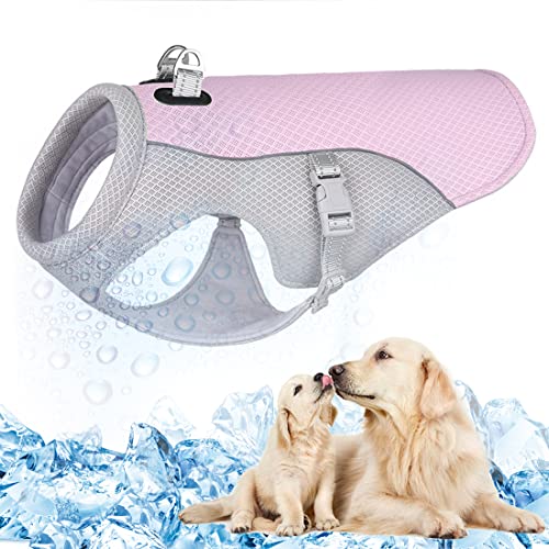 TVMALL Dog Cooling Vest Breathable Mesh Dog Jacket Summer Cool and Comfortable Dog Coat Adjustable With Reflective Strip Pet Clothes Suitable for Large Medium and Small Dogs (2XL