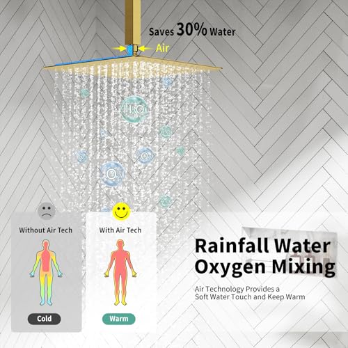 Image of SR SUN RISE 12 Inch Ceiling Mount Rain Shower System,Brushed Gold