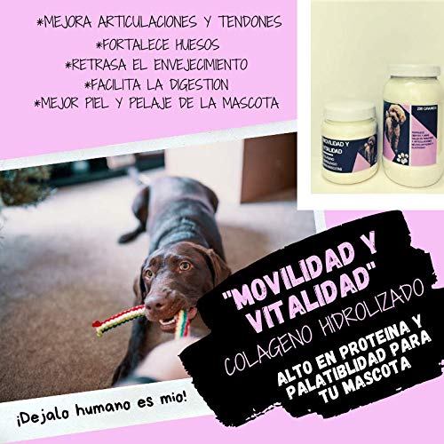 Proteínas, Imagen adicional
