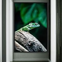 Framed Canvas Wall Art Reptile Contemporary Dramatic Hallway Iguana Multicolor Photography Reptiles - 16x24 inches