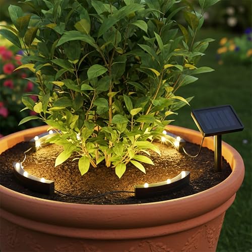 Spetebo Lot de 4 spots solaires à LED pour plantes en pot et parterre de fleurs - Blanc chaud - Spot de jardin - Lampe solaire pour plantes