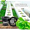 2 inch Net Pots Cups Heavy Duty Round Wide Rim Design for Orchids Hydroponics Aquaponics Slotted Mesh for Kratky Wide Mouth Mason Jars #2