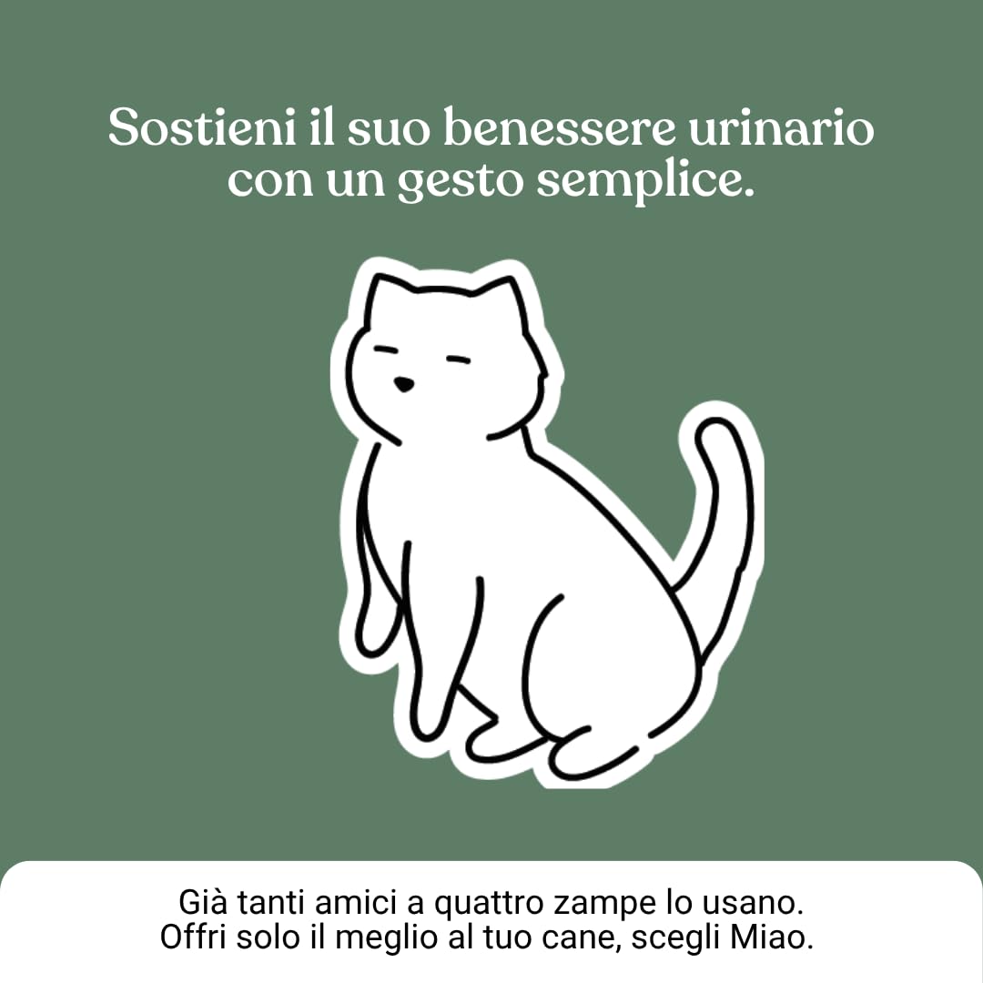 Miào Supporto Basse Vie Urinarie Gatto Pasta – Aiuto per Cistite, Minzione Frequente, Stimolo Continuo, Benessere Vescica, Facile Somministrazione