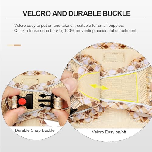 DORAMIO Hundegeschirr Kleine Hunde mit Leine, Step-in Geschirr Reflektierend Atmungsaktiv Brustgeschirr Anti Zug Sicherheitsgeschirr Katzengeschirr für Kleine Hunde, Katzen (Beige, XXS)