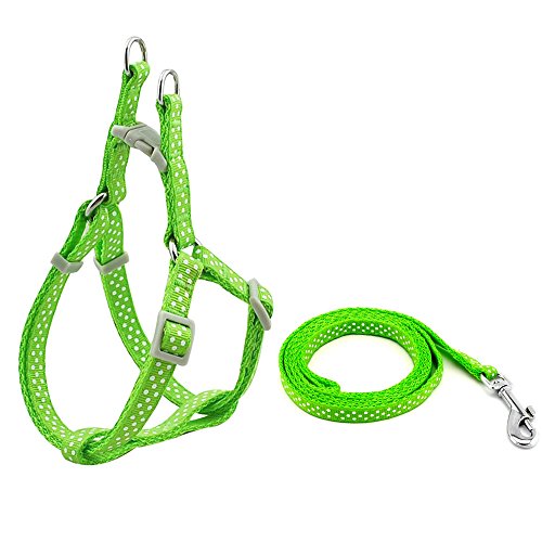 SMALLLEE_LUCKY_STORE 12"-18" Nylon Pet Dog Polka Dots Strap Harness Leash Set, Small, Green