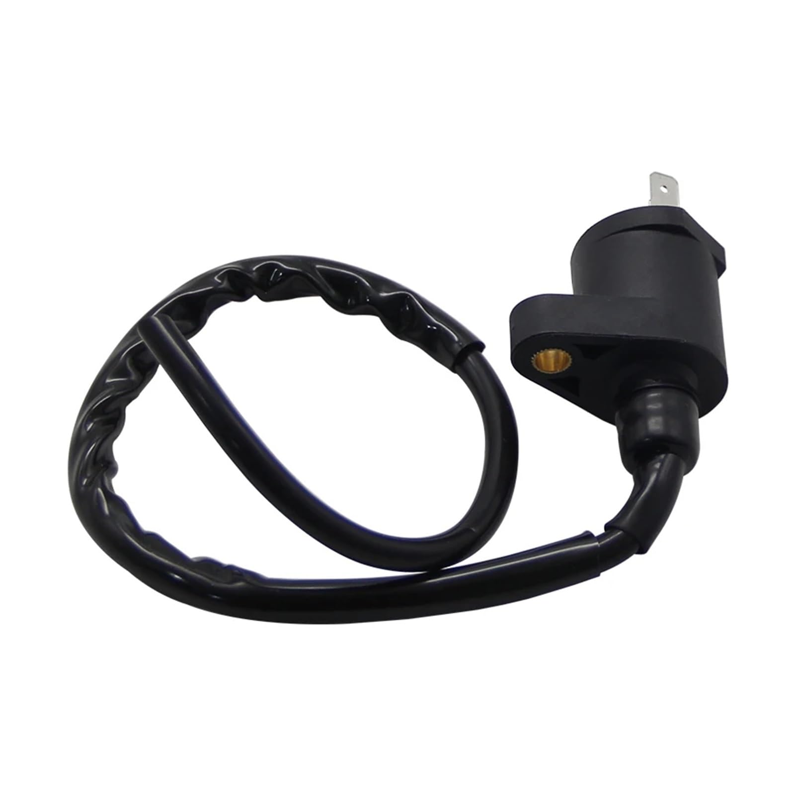 Motore Bobina Accensione Per TRX250TE TRX250TM Sportrax Recon 250 2x4 TRX250EX Bobina Accensione Moto 30510-HC4-000 30510-KB9-750 30510-KG8-670 Dispositivi Accensione