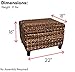 BIRDROCK HOME Woven Seagrass Storage Ottoman - with Safety Hinges
