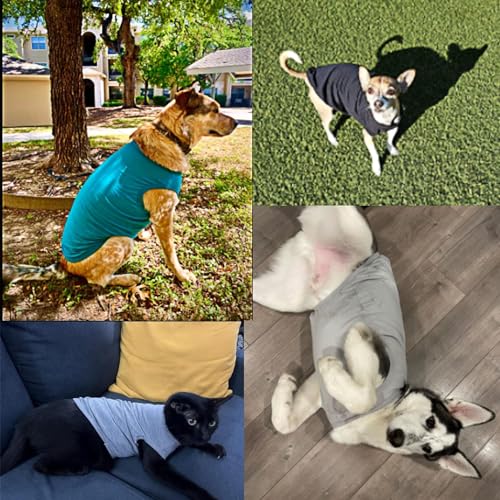 YAODHAOD Cotton Hundekleidung Einfarbige Hunde T-Shirts Kleidung, Sonnenschutz Hund Baumwollhemden Weich und atmungsaktiv, Hundehemden Bekleidung Fit für kleine mittlere Hundekatze(Schwarz / Grau, L