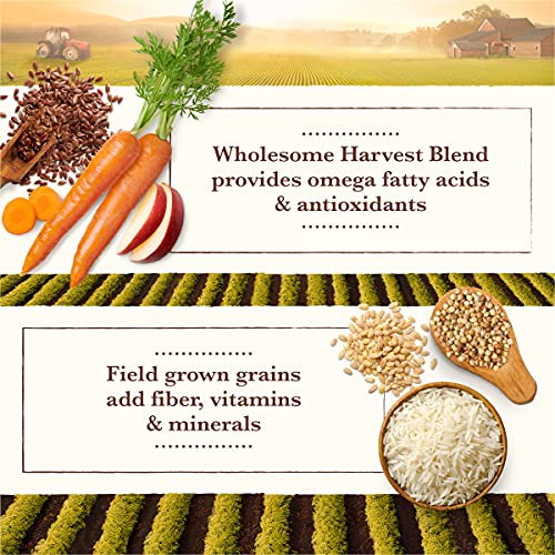 Whole Earth Farms Healthy Grains Dry Dog Food, Chicken And Rice Recipe - 25 Lb. Bag #TOP4