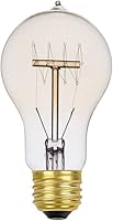 Vista 1 de Globe Electric 01325 - Bombilla incandescente de filamento incandescente de 60 W, estilo vintage, A19, base E26, 245 lúmenes, blanco suave