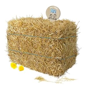 Gebrüder Goller 10kg Strohballen Einstreu Bayern