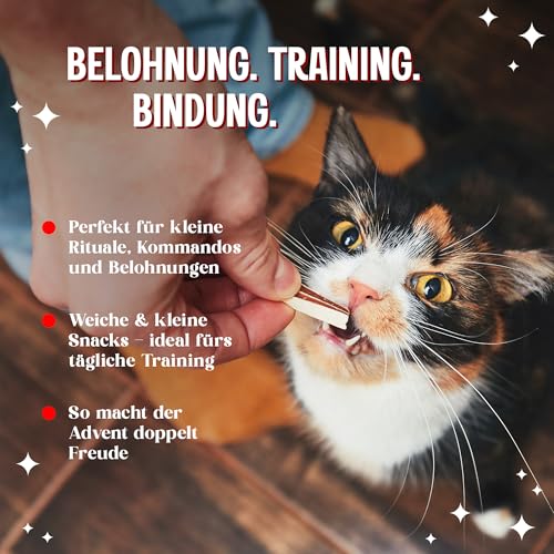 Kodipets Katzen Adventskalender 2025 – 24 Leckerlis – Weizenfrei & glutenfrei – Adventskalender für Katzen mit 8 Sorten Katzenliebhaber