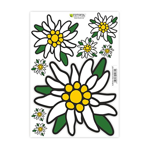 FOTOFOL Set di adesivi per auto, con stella