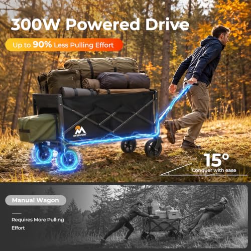 Overmont 200L Electric Wagon