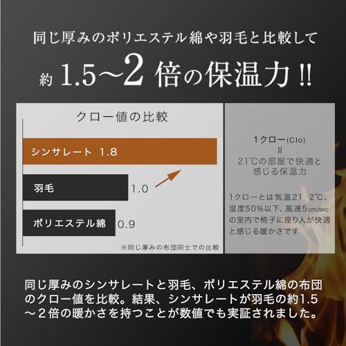 タンスのゲン 【蓄熱×保温 当店だけの暖か仕様!】掛け布団 シングル シンサレート 全面使用 洗える 軽量 ふんわり フランネル 収納ケース付き 毛布 抗菌 防臭 冬 61140240(87111) の商品画像 5