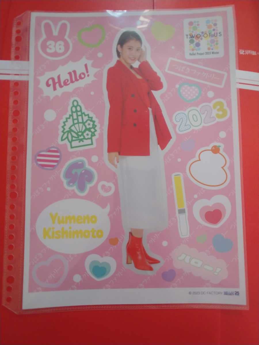 Amazon.co.jp: 岸本ゆめの つばきファクトリー コレクション