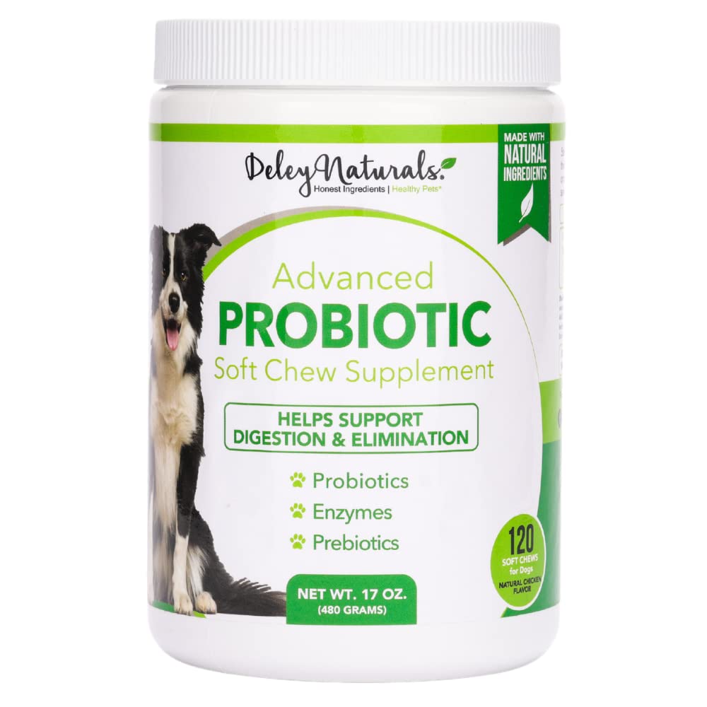 Will Probiotics Help My Dogs Gas
