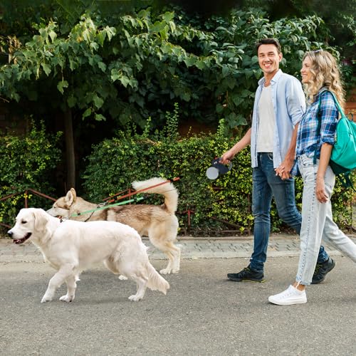 Doppelte Einziehbare Hundeleine Makife Dual Doggie Pet Leash Hundeleine Automatische Hund Versenkbar Leine Einziehbare 3m Geeignet für Kleine Mittelgroße Hunde Wandern Joggen 15pcs Hundekotbeutel Grau