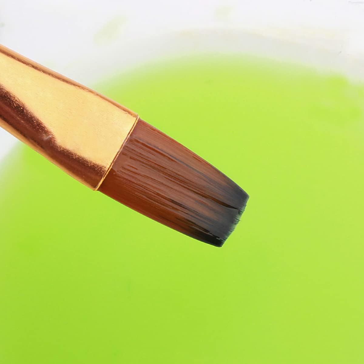 Artist Paint Brush Set of 12pcs, Professional Painting Brushes Kit for Body Art, Face, Nail Art, Beginners Experts Paint Brushes, for Kids Adults