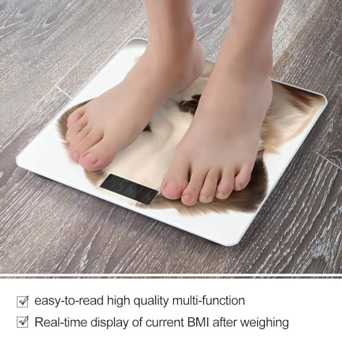 Báscula digital para baño con vidrio templado 10.2 in miniatura 5
