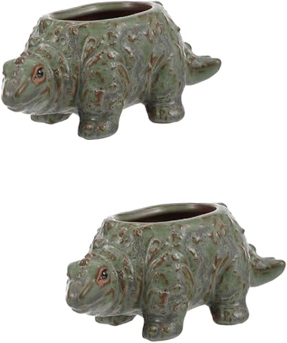 Happyyami 2 macetas suculentas con forma de maceta para suculentas, macetas de animales bonsái, macetas para plantas de interior, decoración de