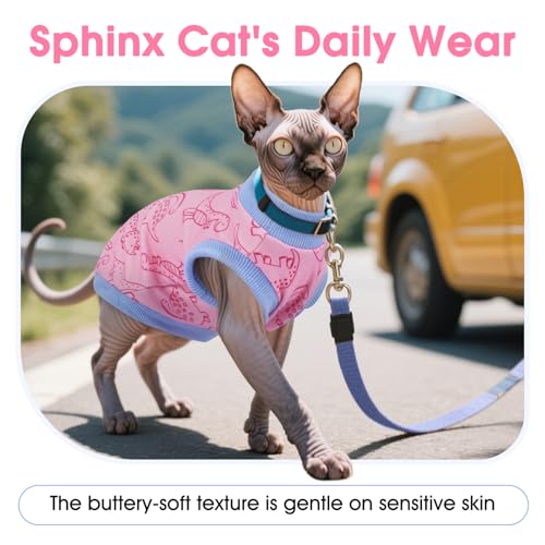 Gilet chat ultra doux imprimé dinosaure toutes saisons vert