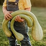 Tromboncino Rampicante Climbing Summer Squash - 25 Seeds - Rare Vining Zucchini Variety, Easy-to-Grow, Heirloom, Non-GMO Vegetable Seeds for Planting Outdoors in The Home Garden, Thresh Seed Company