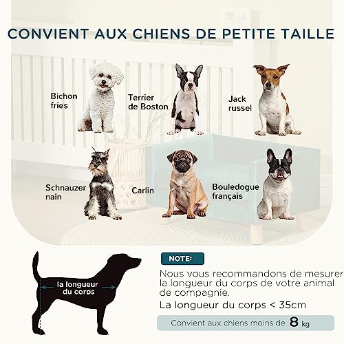 PawHut Hundesofa für Hunde, skandinavisches Design, weiches Kissen, Füße aus Massivholz, Maße: 64 x 45 x 36 cm, Velours, Entenblau