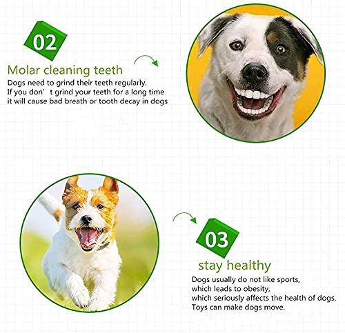 Youyuekefu Magic Electric Roller Ball Toy Pet Dog