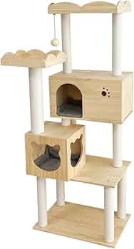 51Igmn9Iq5L._AC_UF350,