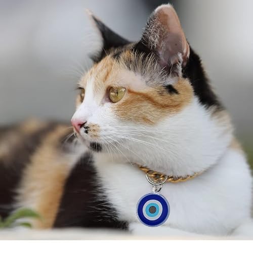 Evil Eye Cat Charm Collar Tag Airtag Tracker For Dogs And Cats, Case Is Compatible With The Apple Air Tag Finder, Waterproof Keychain Gps For Collar, Purse, Luggage, Backpack, Car. #TOP1