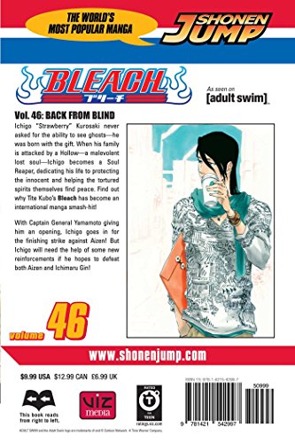 Viz Bleach Vol. 46 Paperback Manga: Back from