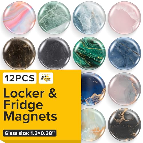 Super Cute Fridge & Locker Magnets β 12 Glass Magnets with Vibrant Colors β Strong Hold for Photos