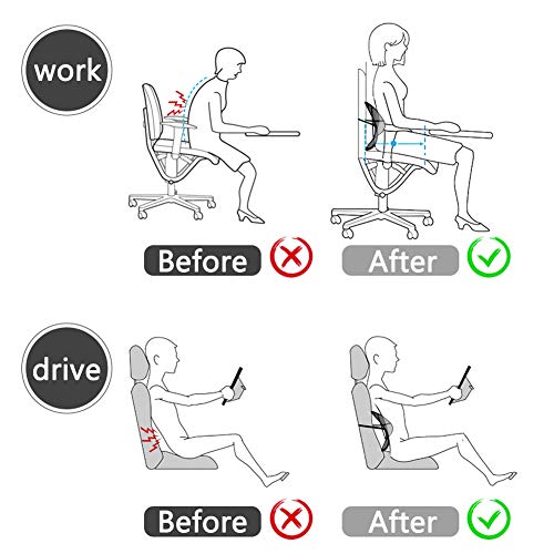 DAFUNY-Office-Chair-Back-Support-Car-Lumbar-Support-2-Pack-Lower-Back-Support-Pillow-Double-Mesh-Lumbar-Support-Pillow-Air-Flow-Breathable-BackLumbar-Support-for-Car-Office-Chair