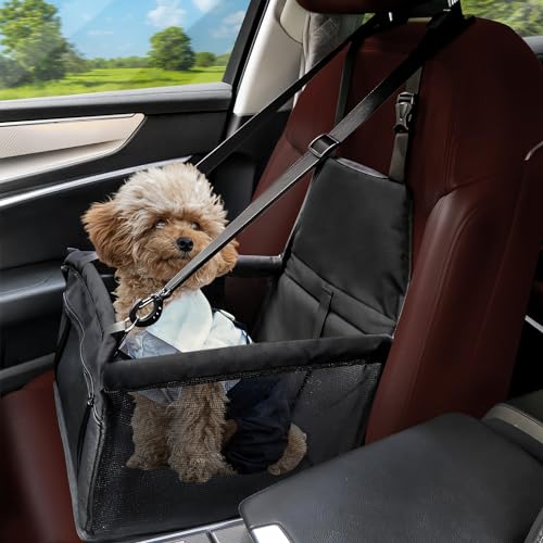 Flagest Asiento de Coche para Perro