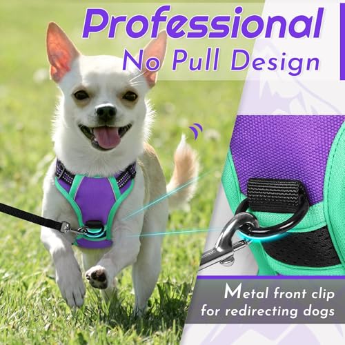 Image of Eagloo Dog Harness for Small Dogs, No Pull Pet Vest with 2 Leash Clips
