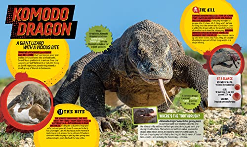 Bite, Sting, Kill: The Incredible Science of Toxins, Venom, Fangs, and Stingers (National Geographic Kids) - Image 4