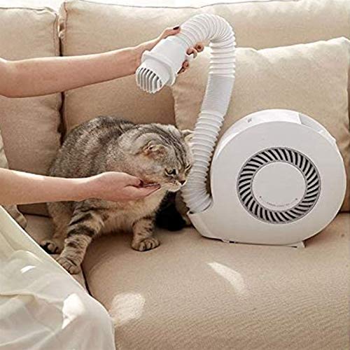 ILV Huishoudelijke Droogmachine Kleine Sneldrogende Wasdroger Draagbare Sterilisatie Mijt Warme Lucht Schoenen Droger Dual-purpose - Image 6