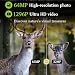 BlazeVideo 48MP Wildkamera Nachtsichtkamera Wildtier Kamera mit 1296P H.264 MPV Video...