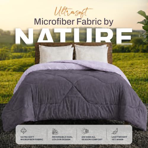 Image of DECORUM Reversible Comforter Double Bed 250 GSM | Charcoal Grey & Lilac | Ultra Soft Microfiber Quilt | All Season Lightweight Comforter | (228 X 223 CM)