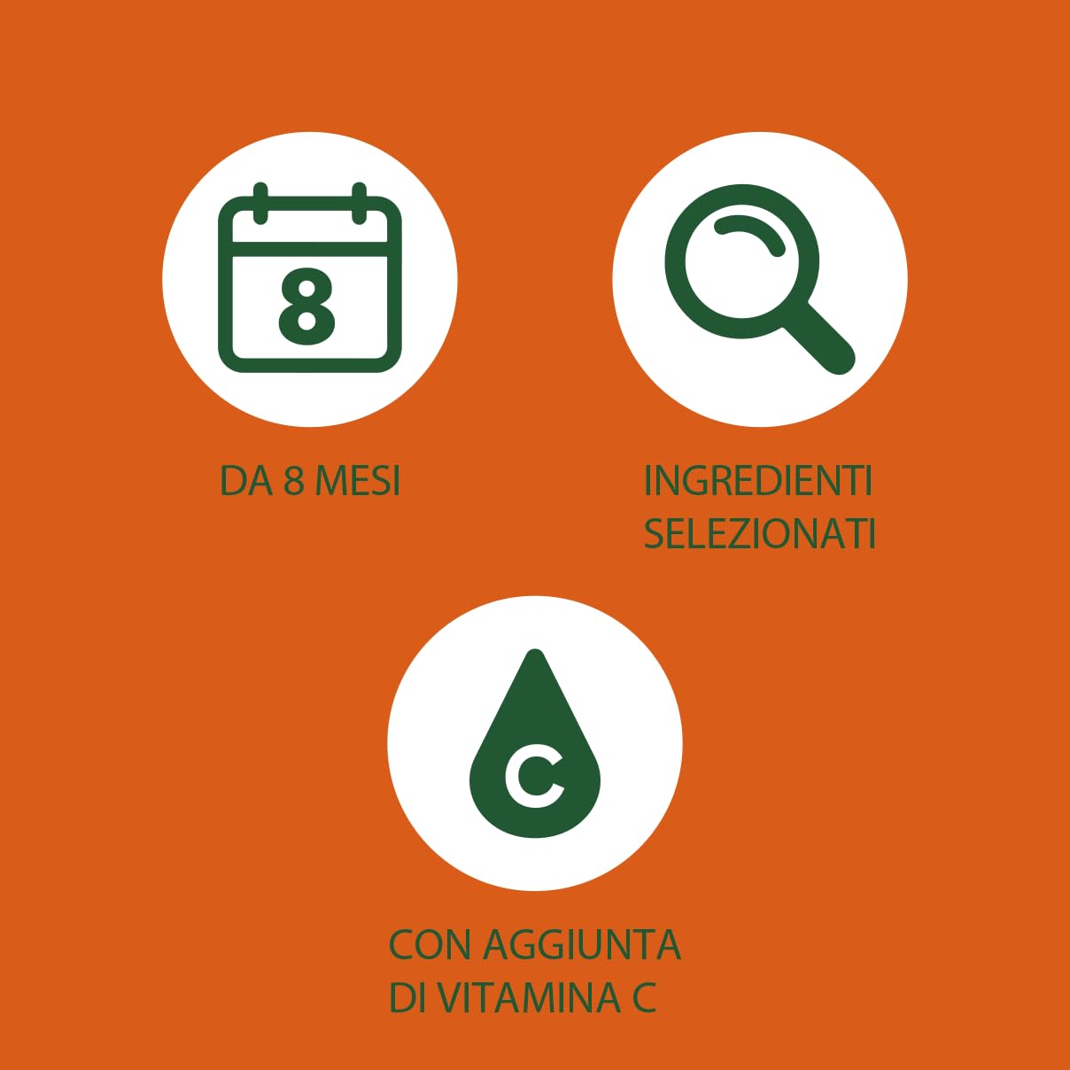 Plasmon Omogeneizzato Pera 24x80g