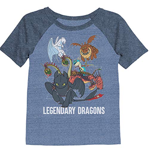 Jumping Beans Boys 4-12 How to Train Your Dragon Graphic Tee 7 Royal Snow Heather