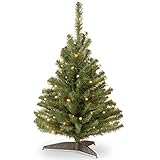National Tree 3 Foot Kincaid Spruce Tree with 100 Clear Lights (KCDR-30LO-1)