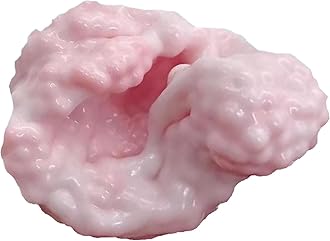 Generic Construction Magnets for Toddlers Grape Smoothie Stressball 2024 New Vacuum Beads Shapeable Stress Milk Stress Toy Upgrade Noisy Sensory Toys Toys With Sound Wooden Play for Boys (A, 6X6cm)