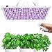 Lampade per Piante Dimmerabile，Relassy 300W LED Coltivazione Indoor con Timer, Telecomando LED Grow Light Full Spectrum per Piante Interno