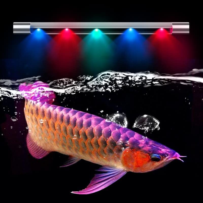 VAYINATO Glass Rs Electricals Double Row High Brightness Wrgb T8 Led Light For Aquarium Fish Tank (C120, 112 Cm Led Length, Suits For 4-5 Ft Tank) (B0B6KS2RXX) Amazon Price History, Amazon Price Tracker