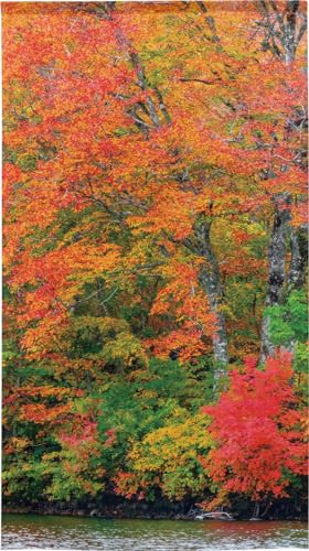 のれん工房 のれん 風景 景色 秋 もみじ 鎌池の紅葉 タペストリー ポスター 背景幕 アート 幅85×丈150cm 21558